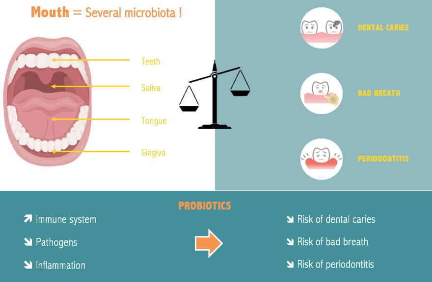 oral health microbiota