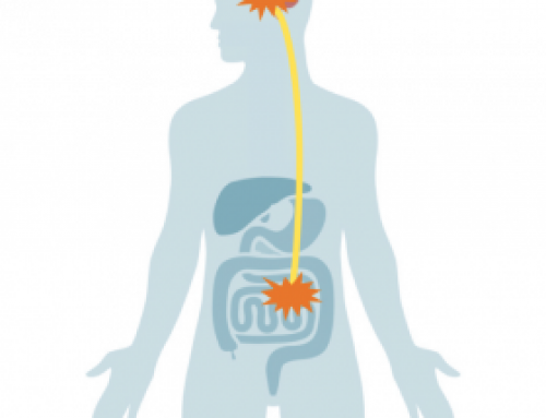 LIVRE – « L’intestin, notre deuxième cerveau : tout savoir de cet organe complexe et de son rôle clé pour la santé »