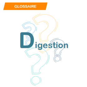 Digestion