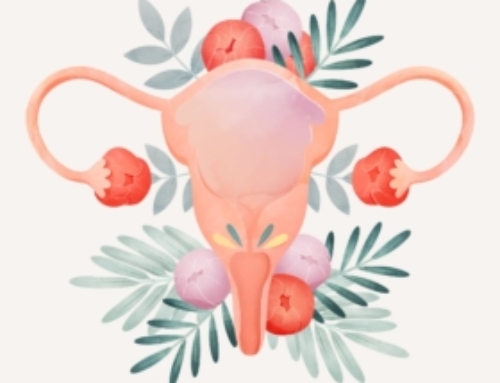 Polycystic ovary syndrome: gut microbiota implication