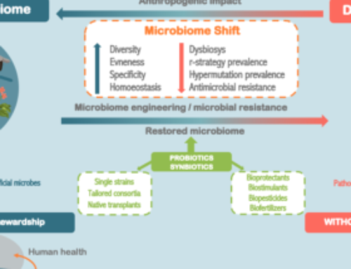 INFOGRAPHIC – What are the impacts of Humans on the microbiome?